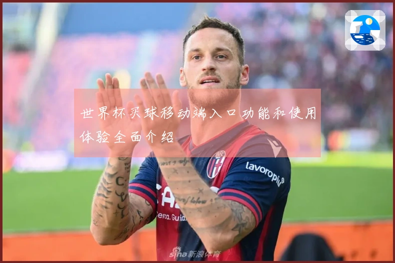 世界杯买球移动端入口功能和使用体验全面介绍