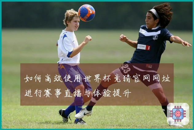 如何高效使用世界杯竞猜官网网址进行赛事直播与体验提升