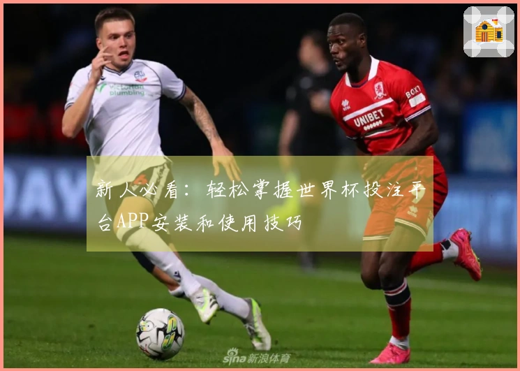 新人必看：轻松掌握世界杯投注平台APP安装和使用技巧
