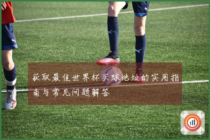 获取最佳世界杯买球地址的实用指南与常见问题解答