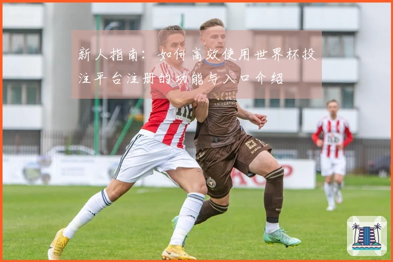 新人指南：如何高效使用世界杯投注平台注册的功能与入口介绍